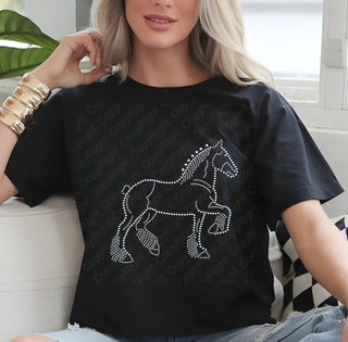 Show Horse Spangle Transfer