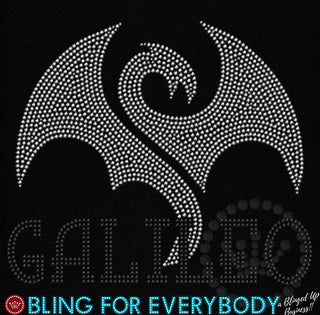 Galileo Dragons School Spangle Transfer