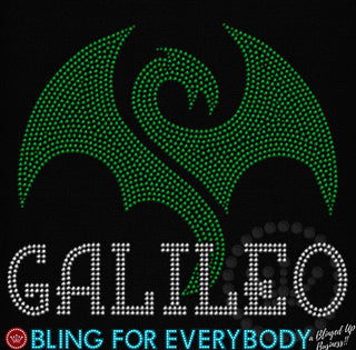 Galileo Dragons School Spangle Transfer