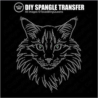 Maine Coon Cat Spangle Transfer #11491
