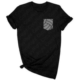 Pocket Volleyball (Pack of 4) Spangle Transfer #1511